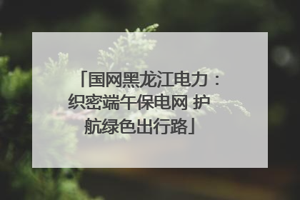 国网黑龙江电力：织密端午保电网 护航绿色出行路