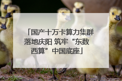 国产十万卡算力集群落地庆阳 筑牢“东数西算”中国底座