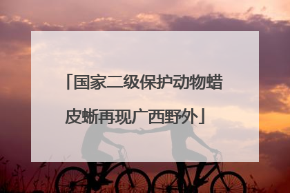 国家二级保护动物蜡皮蜥再现广西野外