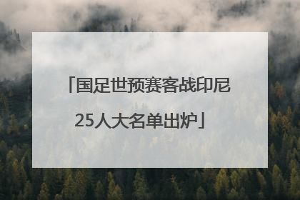国足世预赛客战印尼25人大名单出炉
