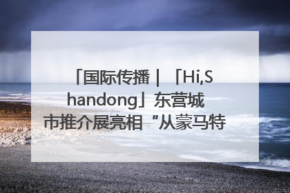 国际传播｜「Hi,Shandong」东营城市推介展亮相“从蒙马特到加里波第”文化节