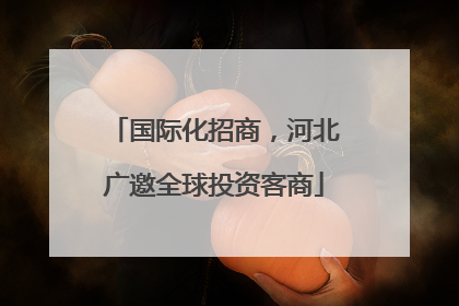国际化招商，河北广邀全球投资客商