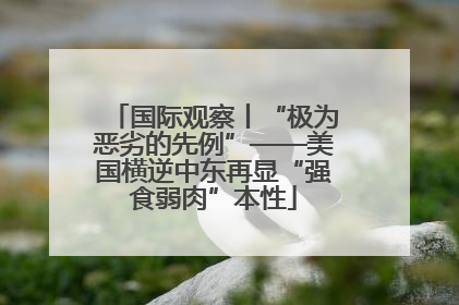 国际观察丨“极为恶劣的先例”——美国横逆中东再显“强食弱肉”本性