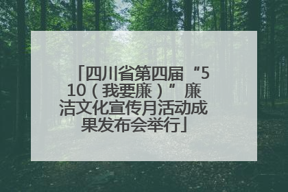 四川省第四届“510（我要廉）”廉洁文化宣传月活动成果发布会举行