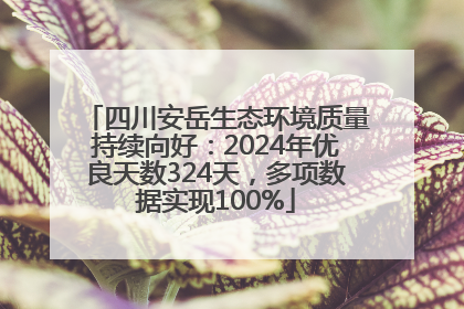 四川安岳生态环境质量持续向好：2024年优良天数324天，多项数据实现100%