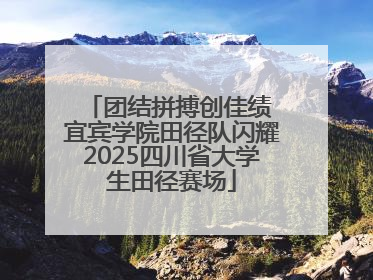 团结拼搏创佳绩 宜宾学院田径队闪耀2025四川省大学生田径赛场