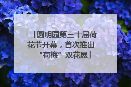 圆明园第三十届荷花节开幕，首次推出“荷梅”双花展