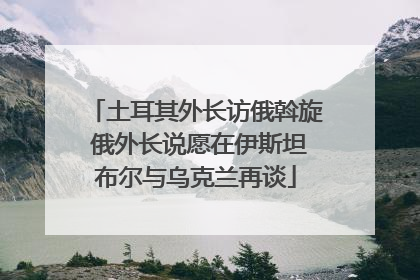 土耳其外长访俄斡旋 俄外长说愿在伊斯坦布尔与乌克兰再谈
