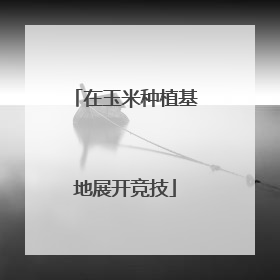 在玉米种植基地展开竞技