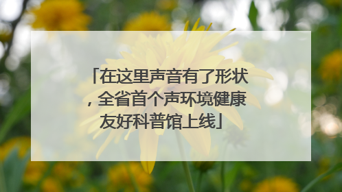 在这里声音有了形状，全省首个声环境健康友好科普馆上线