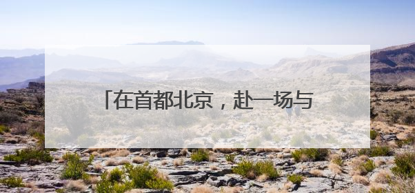 在首都北京，赴一场与月季的“倾城之约”