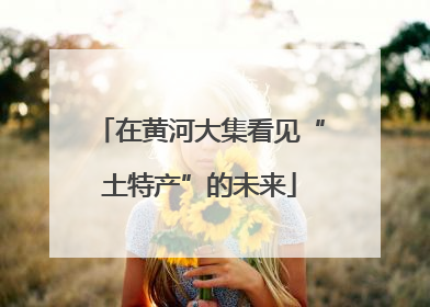 在黄河大集看见“土特产”的未来