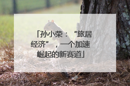 孙小荣：“旅居经济”，一个加速崛起的新赛道