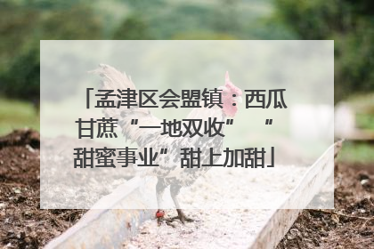 孟津区会盟镇：西瓜甘蔗“一地双收” “甜蜜事业”甜上加甜