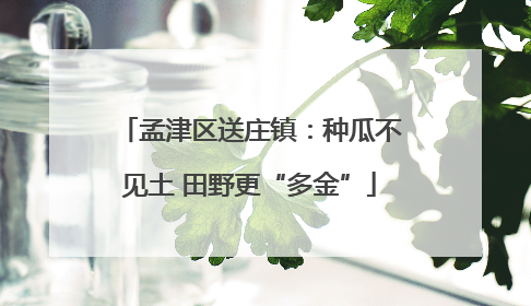 孟津区送庄镇：种瓜不见土 田野更“多金”