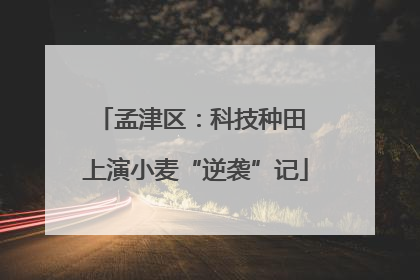 孟津区：科技种田 上演小麦“逆袭”记