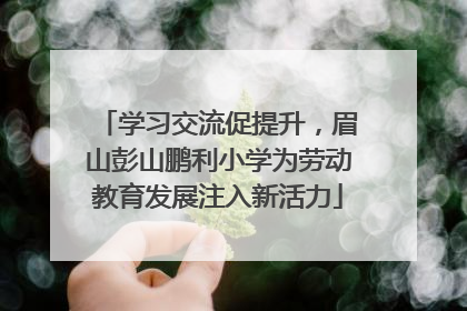 学习交流促提升，眉山彭山鹏利小学为劳动教育发展注入新活力