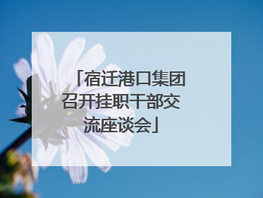 宿迁港口集团召开挂职干部交流座谈会