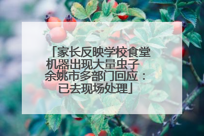 家长反映学校食堂机器出现大量虫子 余姚市多部门回应：已去现场处理