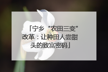 宁乡“农田三变”改革：让种田人尝甜头的致富密码