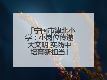 宁国市津北小学：小岗位传递大文明 实践中培育新担当