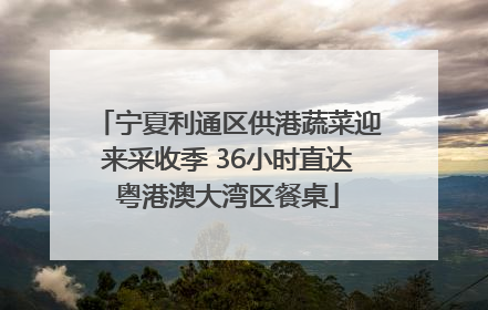 宁夏利通区供港蔬菜迎来采收季 36小时直达粤港澳大湾区餐桌
