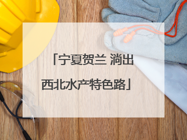 宁夏贺兰 淌出西北水产特色路