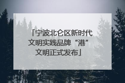 宁波北仑区新时代文明实践品牌“港”文明正式发布