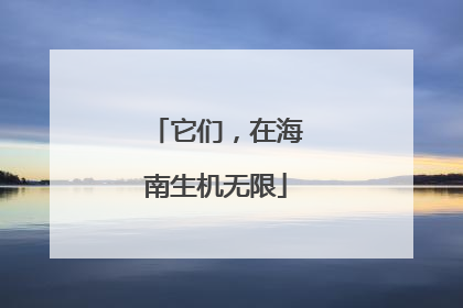 它们，在海南生机无限