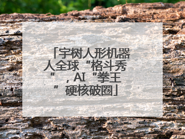 宇树人形机器人全球“格斗秀”，AI“拳王”硬核破圈
