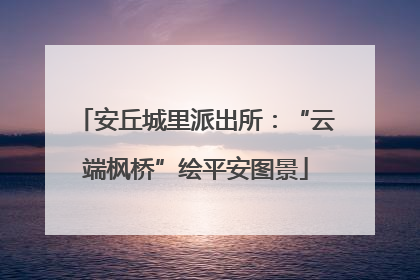 安丘城里派出所：“云端枫桥”绘平安图景