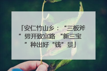 安仁竹山乡：“三板斧”劈开致富路 “新三宝”种出好“钱”景