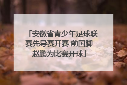 安徽省青少年足球联赛先导赛开赛 前国脚赵鹏为比赛开球