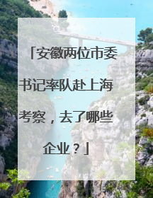安徽两位市委书记率队赴上海考察，去了哪些企业？