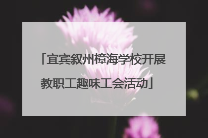宜宾叙州樟海学校开展教职工趣味工会活动