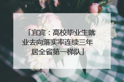 宜宾：高校毕业生就业去向落实率连续三年居全省第一梯队