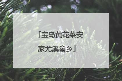 宝岛黄花菜安家尤溪畲乡