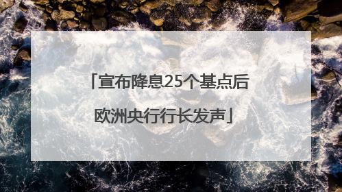 宣布降息25个基点后 欧洲央行行长发声