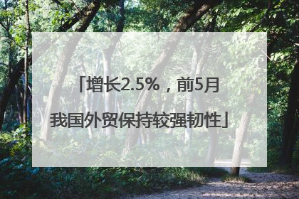 增长2.5%，前5月我国外贸保持较强韧性