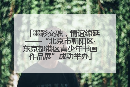 墨彩交融，情谊绵延——“北京市朝阳区·东京都港区青少年书画作品展”成功举办