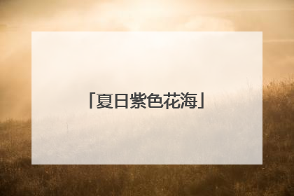 夏日紫色花海