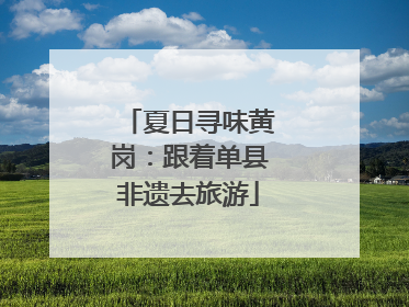 夏日寻味黄岗：跟着单县非遗去旅游