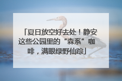 夏日放空好去处！静安这些公园里的“森系”咖啡，满眼绿野仙踪