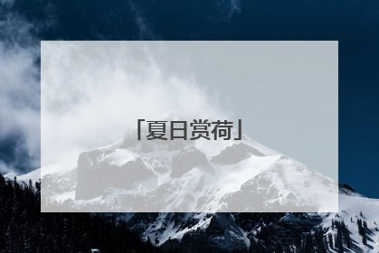 夏日赏荷