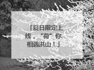 夏日限定上线，“荷”你相遇洪山！