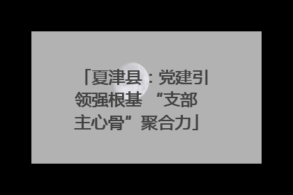 夏津县：党建引领强根基 “支部主心骨”聚合力