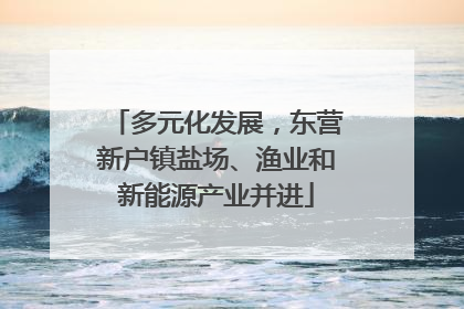 多元化发展，东营新户镇盐场、渔业和新能源产业并进