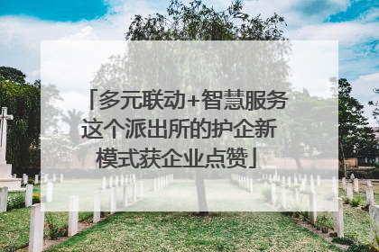 多元联动+智慧服务 这个派出所的护企新模式获企业点赞