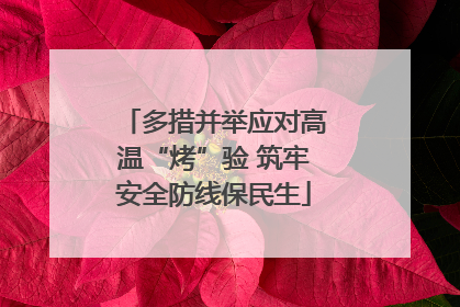 多措并举应对高温“烤”验 筑牢安全防线保民生