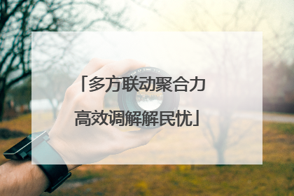 多方联动聚合力 高效调解解民忧